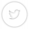 Tara Biek Twitter